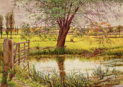 Water Meadow, 1865 by William Bell Scott